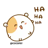 🤣 HA HA HA cute, hamster, laughing, funny, happy, adorable telegram sticker