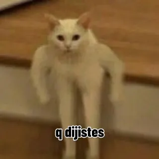 💪 q dijistes cat, meme, funny, animal, question, buff cat, swole telegram sticker