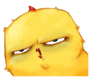 🐤 frango, bravo, pássaro, desenho animado, rabugento, engraçado whatsapp sticker