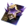 🌟
