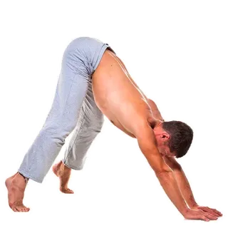 🧘‍♂️ Йога, Поза, Мужчина, Фитнес, Упражнение, Собака мордой вниз, Растяжка telegram sticker