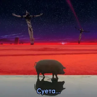 😄 Суета... cerdo, puesta de sol, rojo, agua, cielo, reflejo telegram sticker