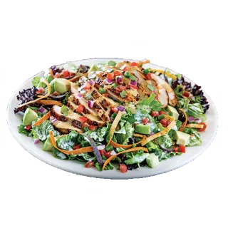 🌿 salada, frango, saudável, comida, abacate telegram sticker