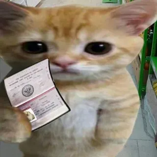 Больше стиков тут: @stikery4 telegram stickers