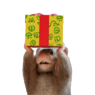 🎁 Tier, süß, Geschenk, Nagetier, Präsent telegram sticker