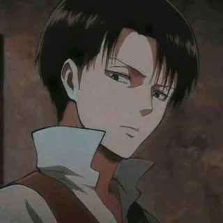 ⚔ Levi Ackerman Attack on Titan Anime, Mangá, Soldado, Sério, Personagem whatsapp sticker