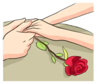 🌹 rosa, mano, flor, amor, romance, pareja, relación telegram sticker