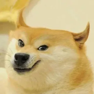 😈 Doge Doge, Meme, Pies, Shiba Inu, Mem Internetowy, Śmieszne telegram sticker