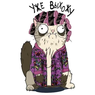 😌 УЖЕ ВЫХОЖУ kucing, rol rambut, gaun tidur, teks Rusia, kucing kartun whatsapp sticker