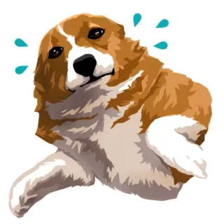 🐶 chó, dễ thương, đổ mồ hôi, corgi, lo lắng, hoạt hình telegram sticker
