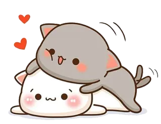 😍 chat, chaton, amour, coeurs, mignon, joueur whatsapp sticker