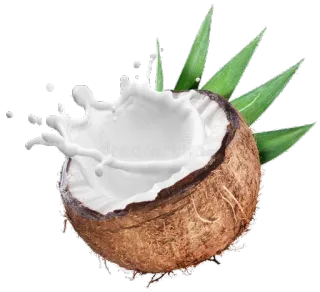 Coconuts-nuts telegram stickers
