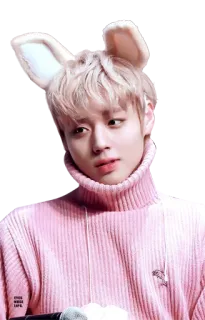 ☹️ kpop, айдол, милый, кролик, розовый, ушки whatsapp sticker