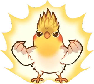 💪 オカメインコ, 鳥, 筋肉質, 筋肉, 強い, 動物, 漫画, かわいい telegram sticker