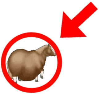 Больше стиков тут: @stikery4 whatsapp stickers