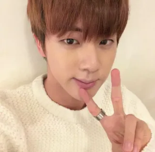 ✌️ Jin kpop, chanteur, bts, signe de paix, selfie telegram sticker