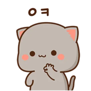 👌 ㅇㅋ Katze, ok, süß, Pfirsich, Pfirsichkatze telegram sticker