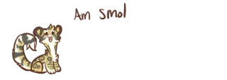 ❤ Am Smol Katze, klein, süß, Tier, Cartoon, Kätzchen telegram sticker
