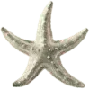 ⭐