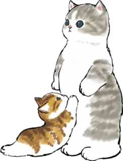 🤗 cat, kitten, cute, animal, family telegram sticker