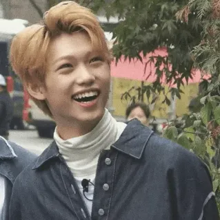 ➖ Felix kpop, idol, cantante, sorridente, felice, ritratto, celebrità telegram sticker