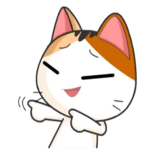 💃 gato, fofo, adesivo, desenho animado, feliz, animal telegram sticker