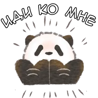 🤗 ИДИ КО МНЕ 熊猫, 可爱, 动物, 文本, 俄语 telegram sticker