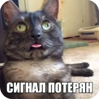 🫥 СИГНАЛ ПОТЕРЯН telegram sticker