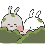 🙈 Hase, niedlich, Häschen, entzückend, Tier telegram sticker