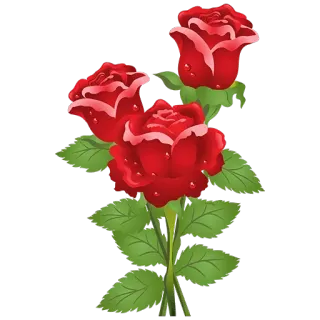 🌹 flower, red, rose, bouquet, floral whatsapp sticker