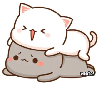 🍥 wontae Katze, Kätzchen, süß, Tier, Cartoon, kawaii telegram sticker