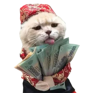 🤑 cat, money, wealth, tongue, funny, cute, meme telegram sticker
