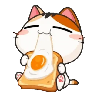 🍳 แมว, ไข่, ขนมปังปิ้ง, อาหาร, อาหารเช้า, น่ารัก telegram sticker