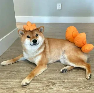 🐗 dog, shiba inu, pet, animal, cute, orange, plush, dinosaur telegram sticker