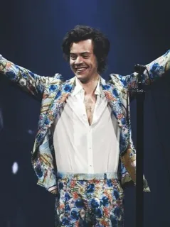 💵 Harry Styles chanteur, musicien, célébrité, pop star telegram sticker