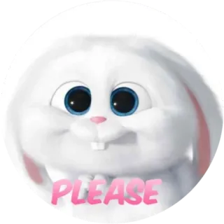 🙏 PLEASE coniglio, coniglietto, per favore, carino, animale whatsapp sticker