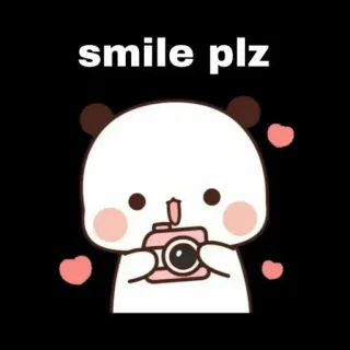 📸 smile plz パンダ, かわいい, カワイイ, 笑顔, 写真, カメラ telegram sticker