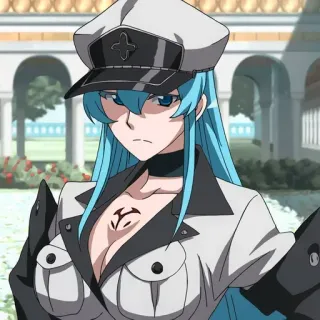 😕 Esdeath Akame ga Kill! Anime, Esdeath, Akame ga Kill, Złoczyńca, Generał telegram sticker