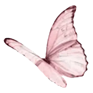 🦋
