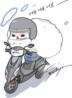 🚲 咻咻咻 kot, hulajnoga, kask, słodki, kreskówka, zwierzę telegram sticker