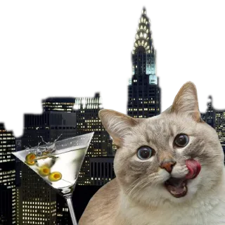 🍸 cat, martini, cityscape, cocktail, animal, drink, olives telegram sticker