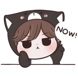 😼 NOW! süß, Cartoon, Bär, jetzt, Sticker telegram sticker