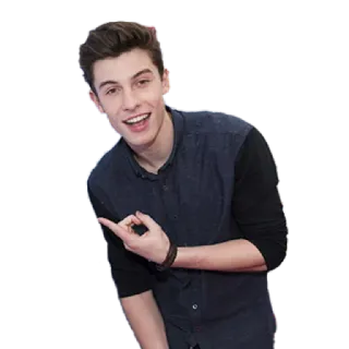 😂 Shawn Mendes shawn mendes, singer, celebrity, pointing, portrait whatsapp sticker