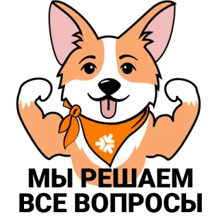 💪 РЕШИ corgi, cane, muscoli, fiocco di neve, arancia telegram sticker