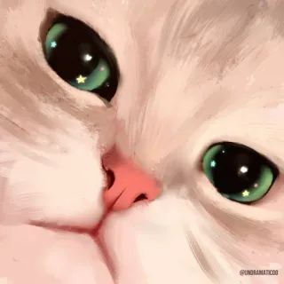 🌟 @UNDRAMATICO00 gato, animal, lindo, mascota, gatito, ojos, blanco telegram sticker