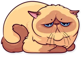 😞 cat, cute, sad, pet, animal telegram sticker