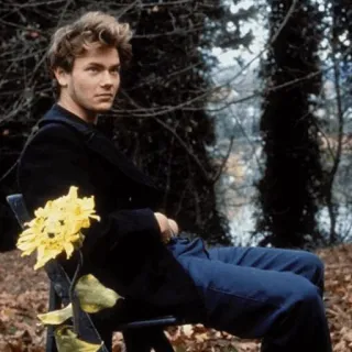 🌐 River Phoenix River Phoenix, ator, celebridade, girassóis, retrato, jovem, anos 90 whatsapp sticker