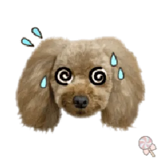 🐶 собака, спиральные глаза, пот, эмодзи, тревожный telegram sticker