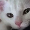 🤩