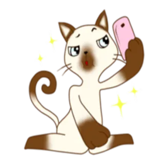 📸 gatto, selfie, animale, adesivo, cartone animato, carino, telefono whatsapp sticker